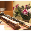 Koncert pro flétny a klarinet